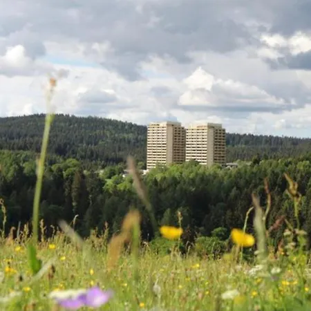 Modernes Harz Studio Apartment Ferienwohnung Ueber Den Baumspitzen Braunlage Exterior foto