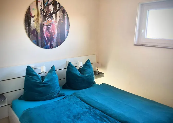 Modernes Harz Studio Apartment Ferienwohnung Ueber Den Baumspitzen