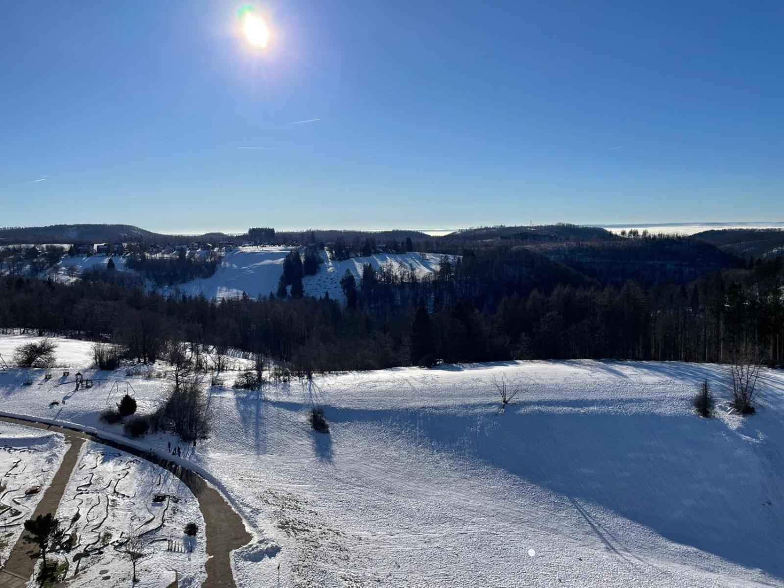 Modernes Harz Ueber Den Baumspitzen Apartment Braunlage