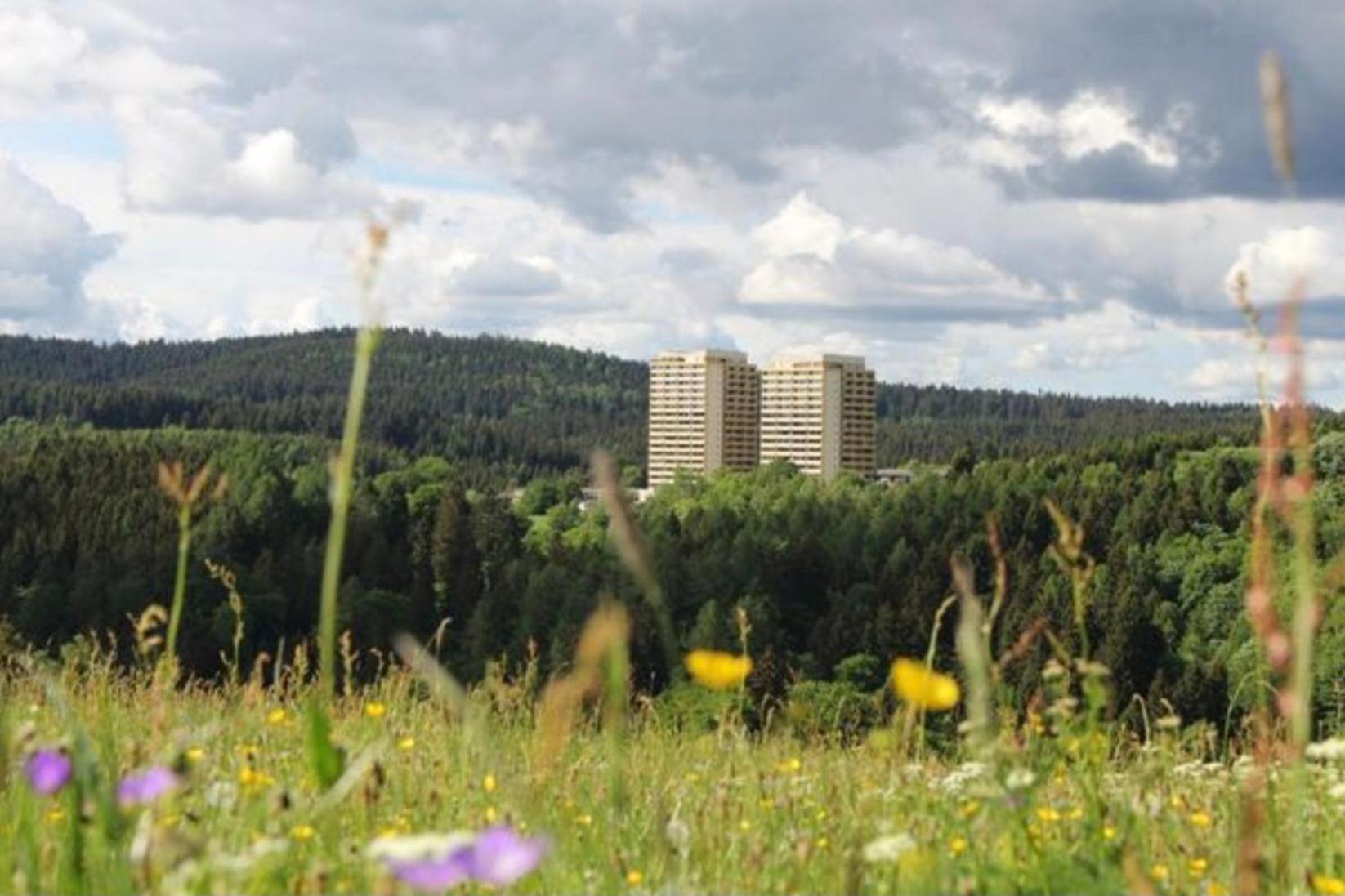 Appartamento Modernes Harz Ueber Den Baumspitzen Braunlage